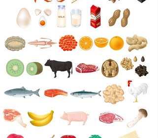 Trouvez les produits locaux du Nord Pas de Calais