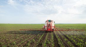 Chartes pesticides : 5 arrêtés préfectoraux annulés !