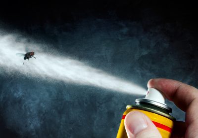 attention aux insecticides interdits